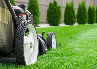 Itzel Ahoqui Lawn Service and Lawn Mower