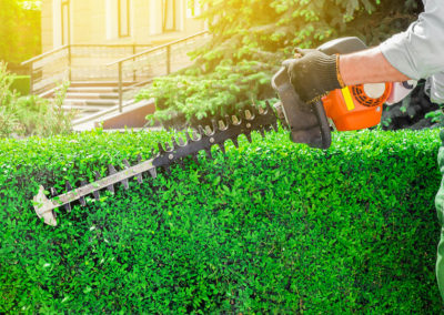 Yonkers Hedge Trimming