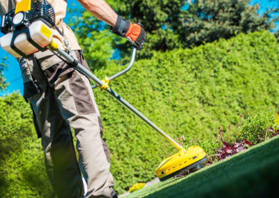 Man hedging and trimming lawn and garden in Yonkers