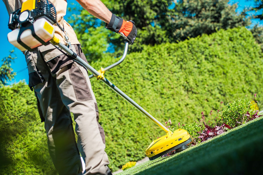 Man hedging and trimming lawn and garden in Yonkers