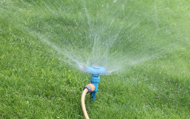 lawn-watering-by-sprinkler